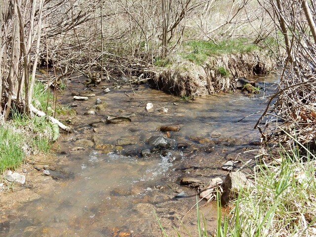 tbd Sam Snead Hwy, Warm Springs, VA 24484 - photo 3