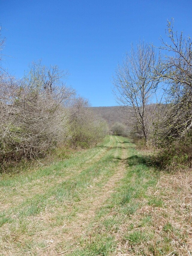 tbd Sam Snead Hwy, Warm Springs, VA 24484 - photo 4