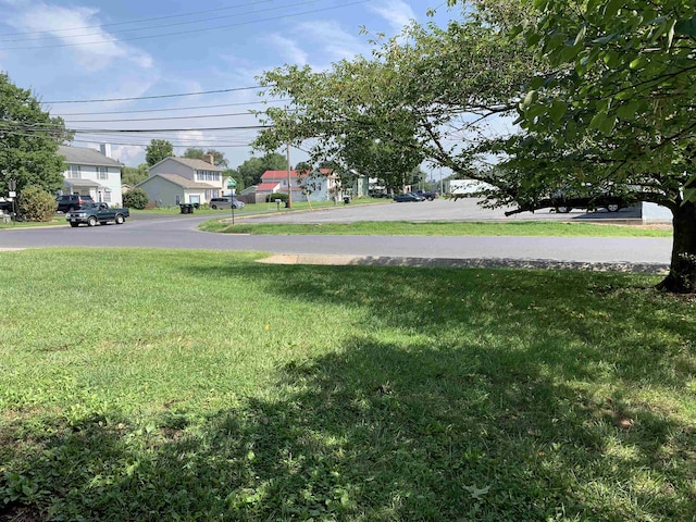 302 N River Rd, Bridgewater, VA 22812 - photo 20