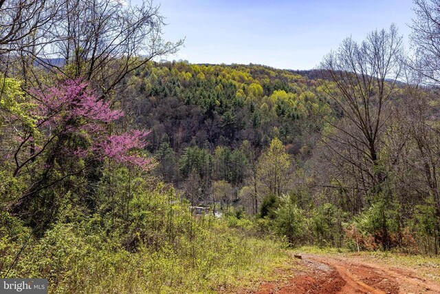 0 Jollett Rd, Elkton, VA 22827