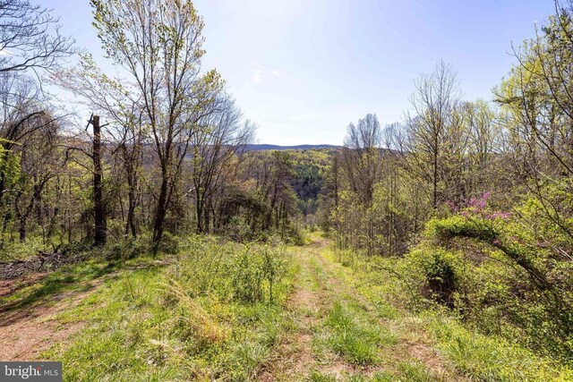 0 Jollett Rd, Elkton, VA 22827