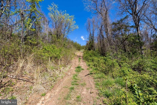 0 Jollett Rd, Elkton, VA 22827