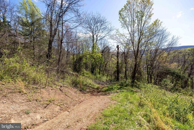 0 Jollett Rd, Elkton, VA 22827