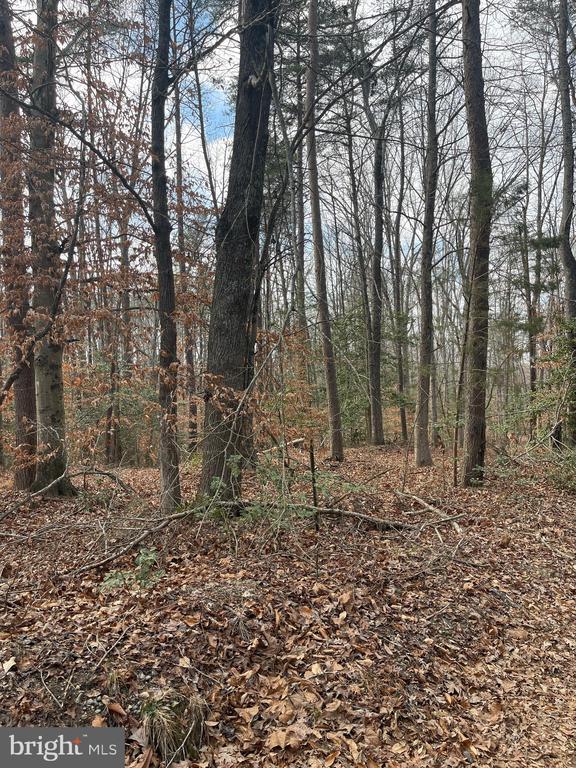 6317 Little Acres Ln, Woodford, VA 22580 - photo 4