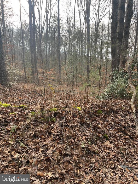 6317 Little Acres Ln, Woodford, VA 22580 - photo 6