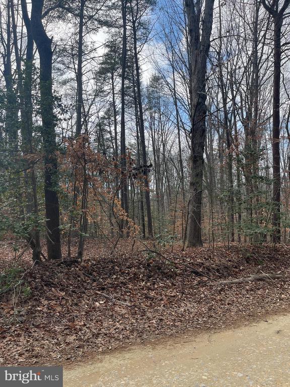6317 Little Acres Ln, Woodford, VA 22580 - photo 3