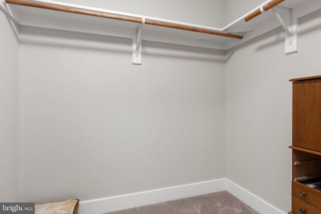 9712 Sutter Rd, Partlow, VA 22534 - walk in closet with carpet flooring