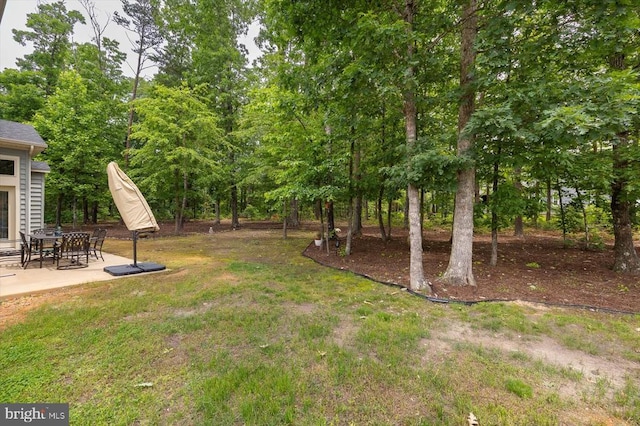 11402 Osprey Trl, Spotsylvania, VA 22551 - view of grassy yard with a patio area