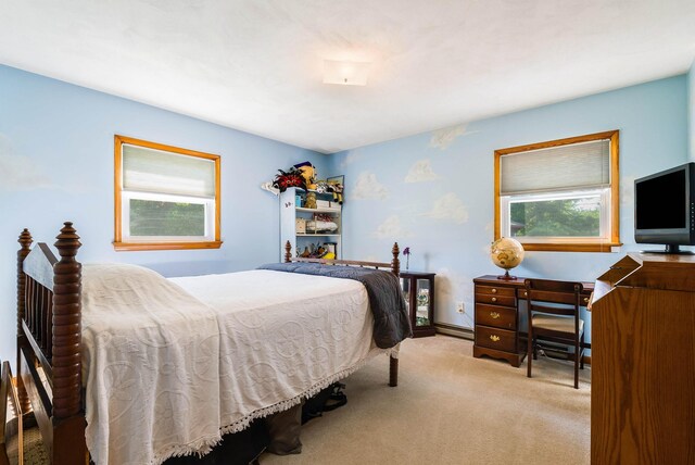 636 Rosser Ave, Waynesboro, VA 22980 - photo 26