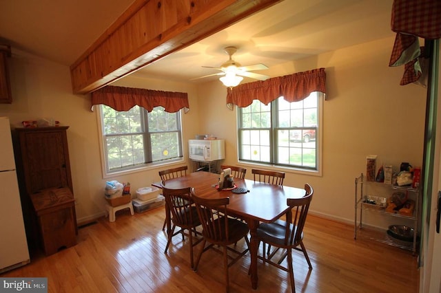 225 Lakeview Dr, Mineral, VA 23117 - photo 11