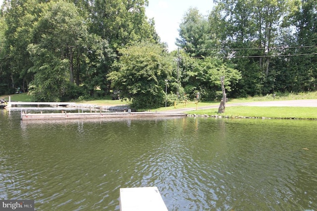225 Lakeview Dr, Mineral, VA 23117 - photo 24