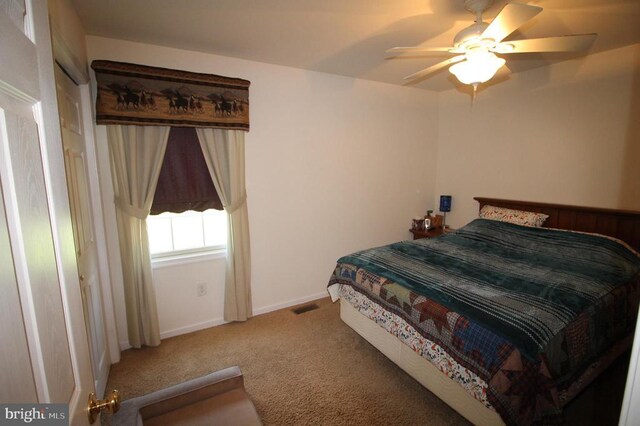 225 Lakeview Dr, Mineral, VA 23117 - photo 13