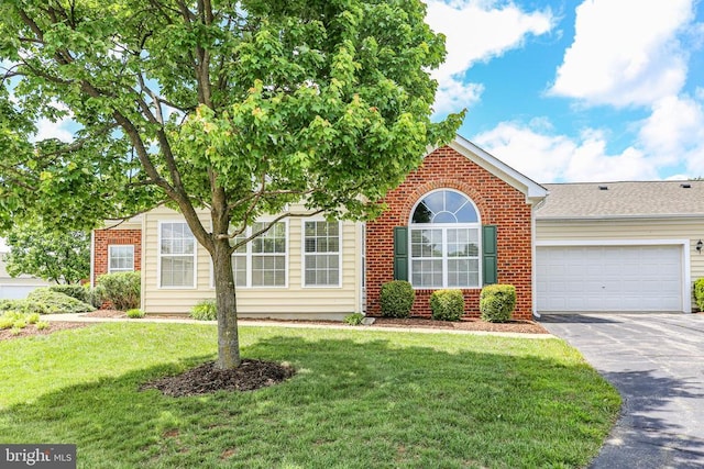 6231 Autumn Leaf Dr, Fredericksburg, VA 22407 - view of property hidden behind natural elements with asphalt driveway, brick siding, a garage, and a front yard