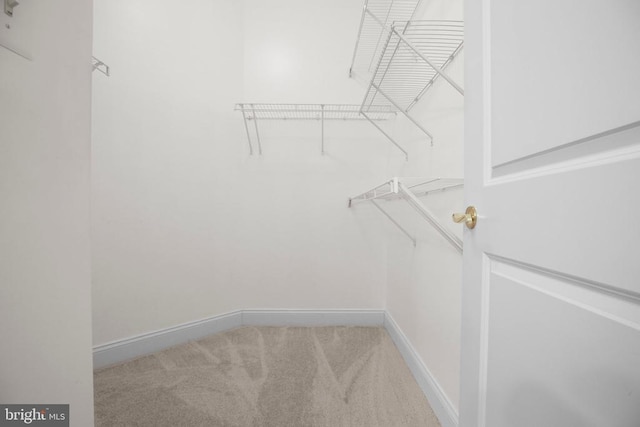 6231 Autumn Leaf Dr, Fredericksburg, VA 22407 - spacious closet with carpet flooring