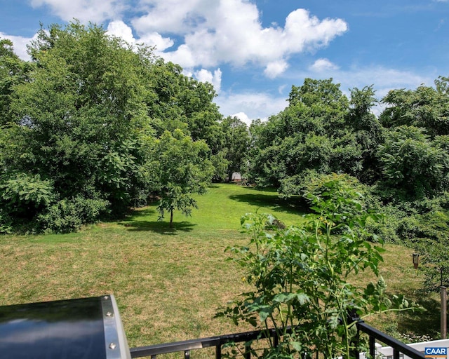 142 Junction Ln, Charlottesville, VA 22902 - view of grassy yard