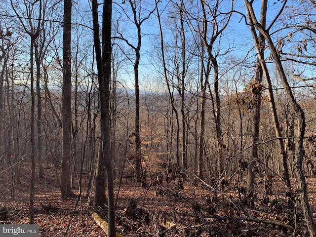 view of landscape