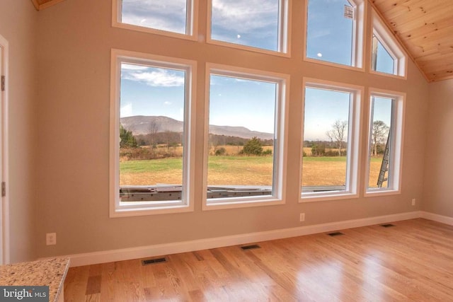 interior space featuring a mountain view, light hardwood / wood-style floors, and high vaulted ceiling