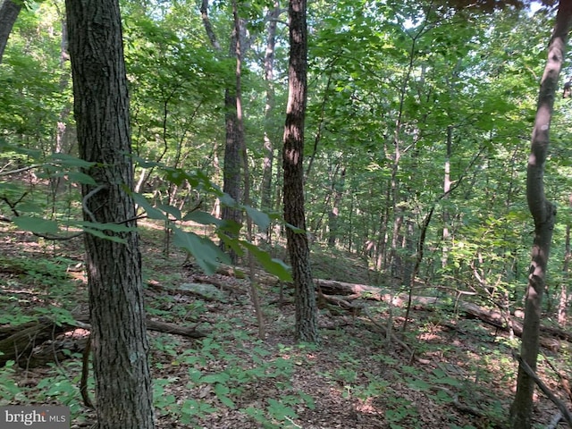 view of landscape