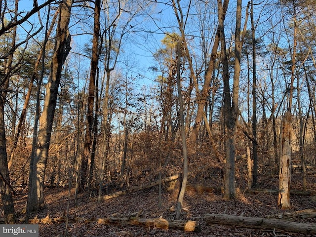 view of landscape