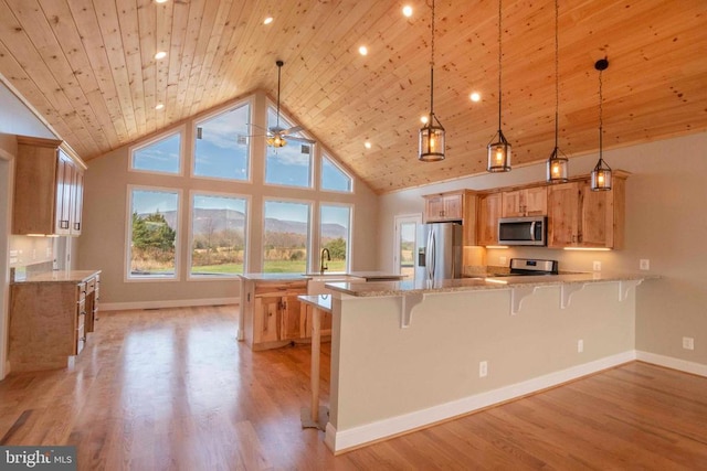 kitchen featuring appliances with stainless steel finishes, decorative light fixtures, light hardwood / wood-style flooring, and a wealth of natural light