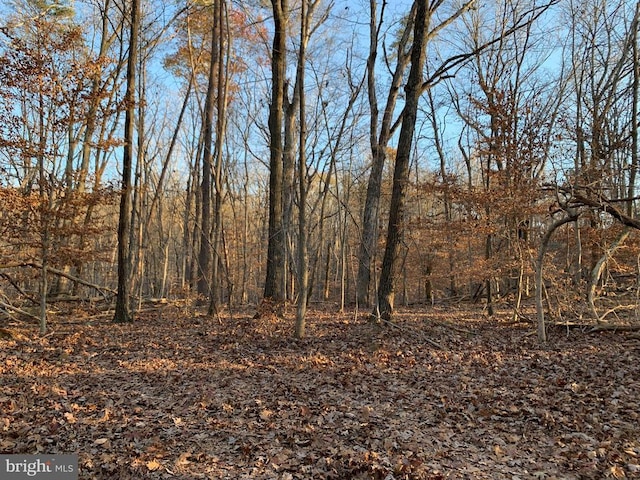 view of landscape