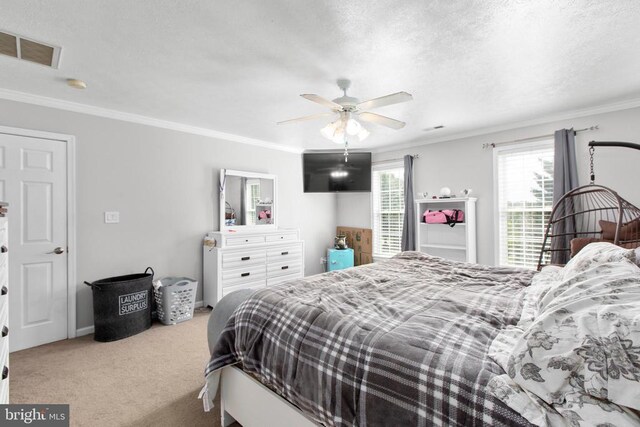 10747 Greenbriar Ln, Spotsylvania, VA 22553 - photo 23