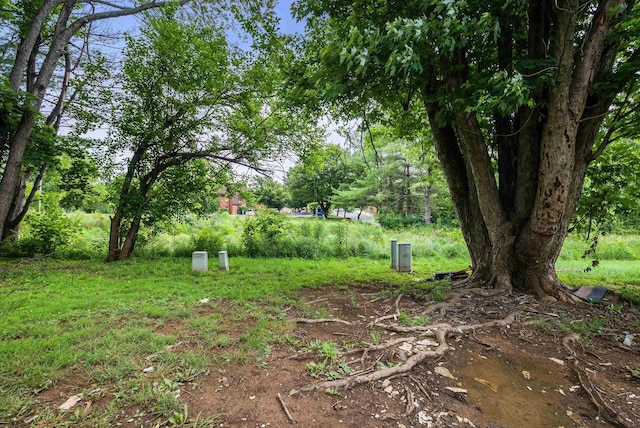 1114 Mountain View Dr, Harrisonburg, VA 22801 - view of yard