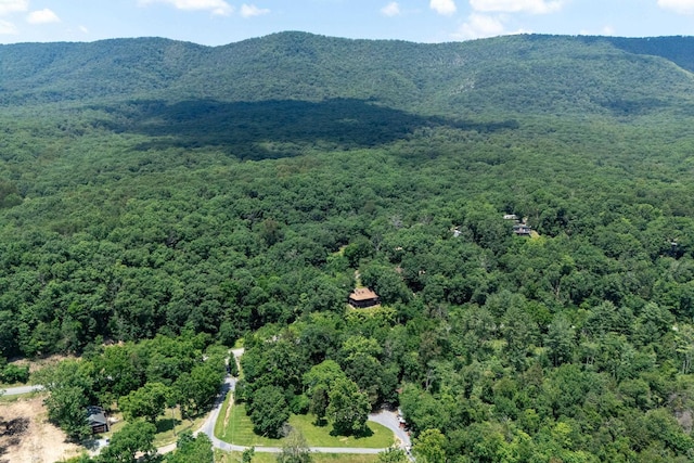 123 Fishermans Ln, Luray, VA 22835 - view of mountain background with a heavily wooded area