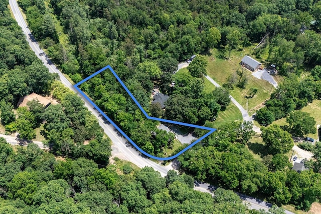 123 Fishermans Ln, Luray, VA 22835 - aerial view of property's location featuring property parcel outlined and a forest