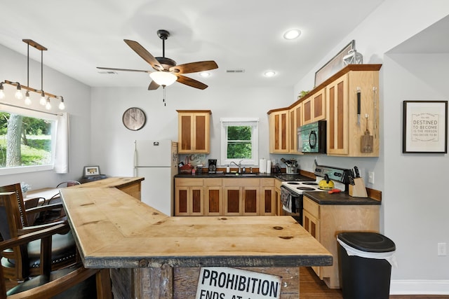123 Fishermans Ln, Luray, VA 22835 - kitchen featuring black microwave, freestanding refrigerator, electric range, ceiling fan, and healthy amount of natural light