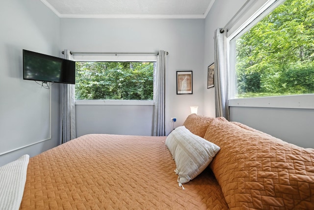 123 Fishermans Ln, Luray, VA 22835 - bedroom featuring crown molding