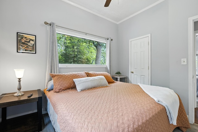 123 Fishermans Ln, Luray, VA 22835 - bedroom with wood finished floors, ornamental molding, and ceiling fan