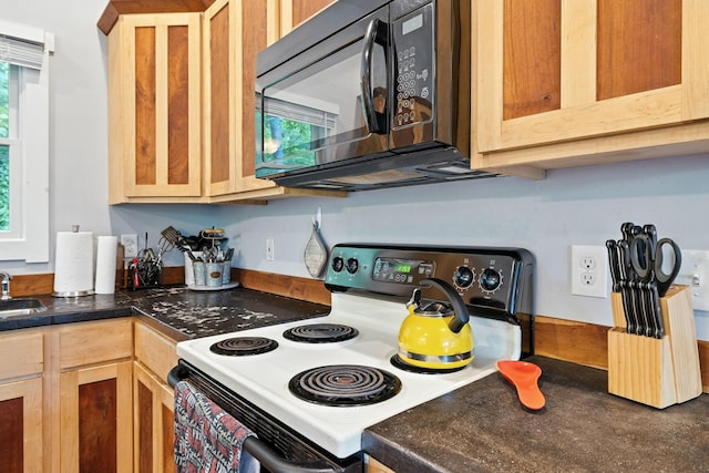 123 Fishermans Ln, Luray, VA 22835 - kitchen with electric stove, black microwave, plenty of natural light, and dark countertops