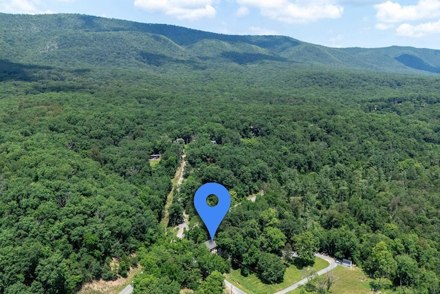 123 Fishermans Ln, Luray, VA 22835 - bird's eye view of a forest and a mountainous background