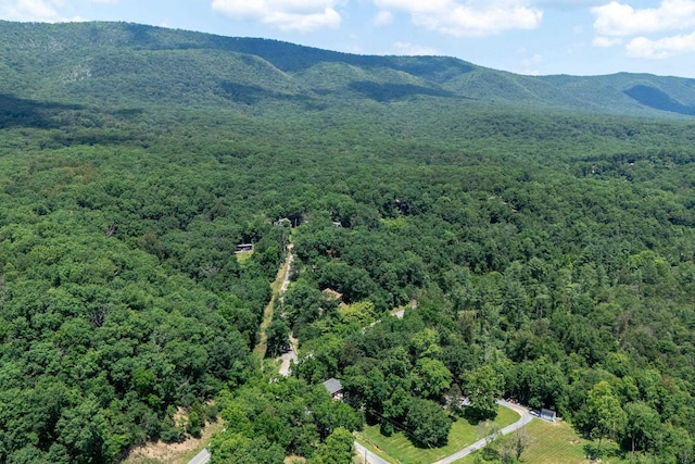 123 Fishermans Ln, Luray, VA 22835 - bird's eye view of a heavily wooded area and a mountain backdrop