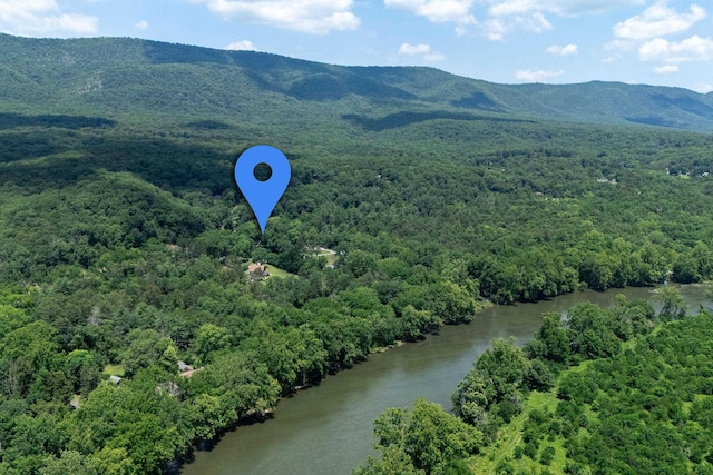 123 Fishermans Ln, Luray, VA 22835 - drone / aerial view of a heavily wooded area and a water and mountain view