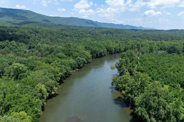 123 Fishermans Ln, Luray, VA 22835 - bird's eye view of a heavily wooded area and a water and mountain view