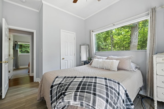 123 Fishermans Ln, Luray, VA 22835 - bedroom featuring wood finished floors, crown molding, and ceiling fan