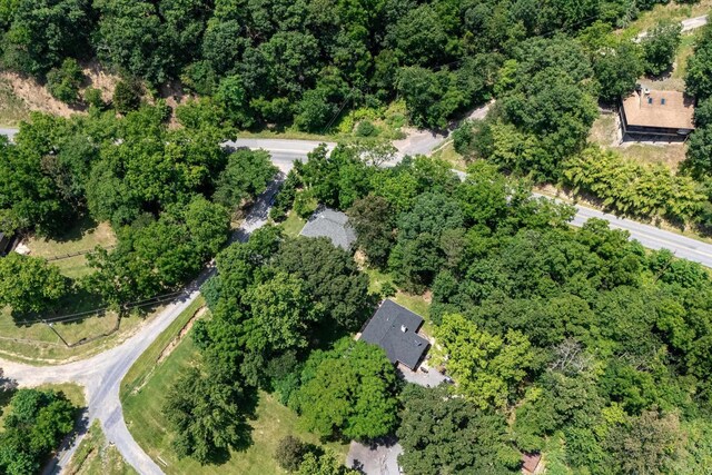123 Fishermans Ln, Luray, VA 22835 - aerial view of property's location
