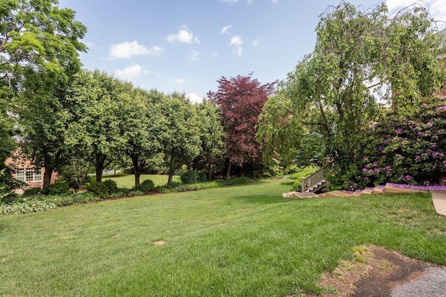 225 Divot Dr, Harrisonburg, VA 22802 - view of green lawn