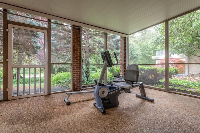 225 Divot Dr, Harrisonburg, VA 22802 - sunroom / solarium featuring floor to ceiling windows, carpet, and plenty of natural light