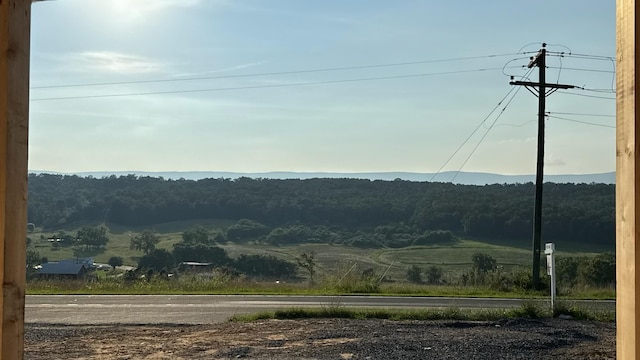 TBD Senedo Rd, Mount Jackson, VA 22842 - photo 6