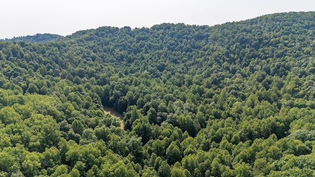 2476 Ennis Mountain Rd, Afton, VA 22920