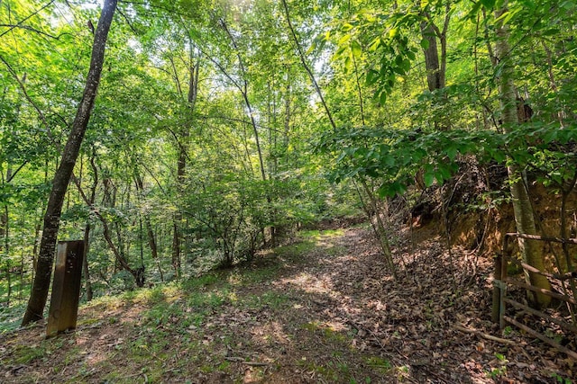 2476 Ennis Mountain Rd, Afton, VA 22920