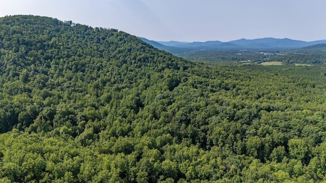 2476 Ennis Mountain Rd, Afton, VA 22920