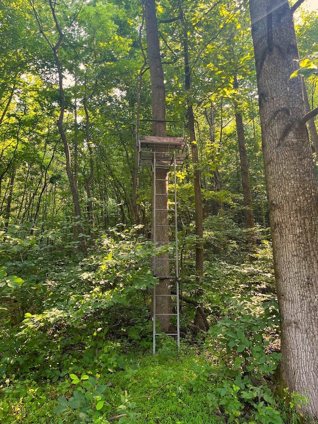 2476 Ennis Mountain Rd, Afton, VA 22920
