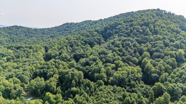 2476 Ennis Mountain Rd, Afton, VA 22920