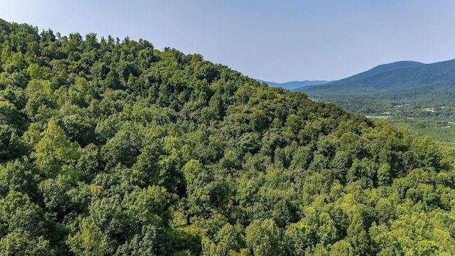 2476 Ennis Mountain Rd, Afton, VA 22920