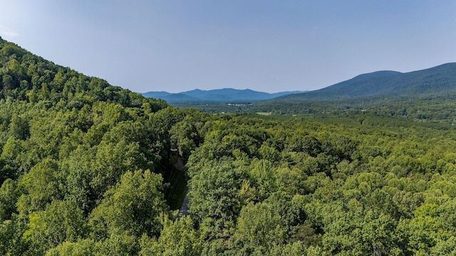 2476 Ennis Mountain Rd, Afton, VA 22920