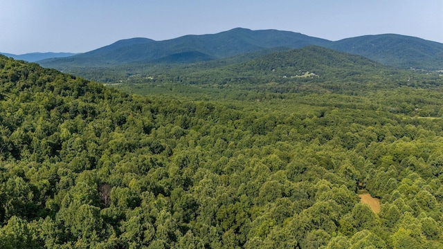 2476 Ennis Mountain Rd, Afton, VA 22920